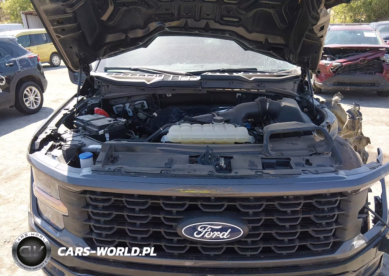 2025 Ford F-150 Stx VIN:1FTEW2LP5SKE36021 - 10