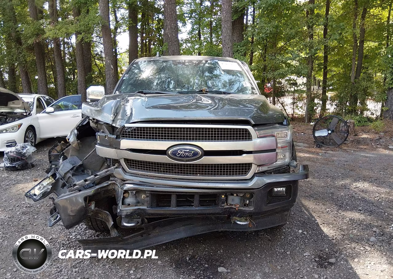 2019 Ford F-150 Platinum VIN:1FTEW1E42KFB16922 - 11