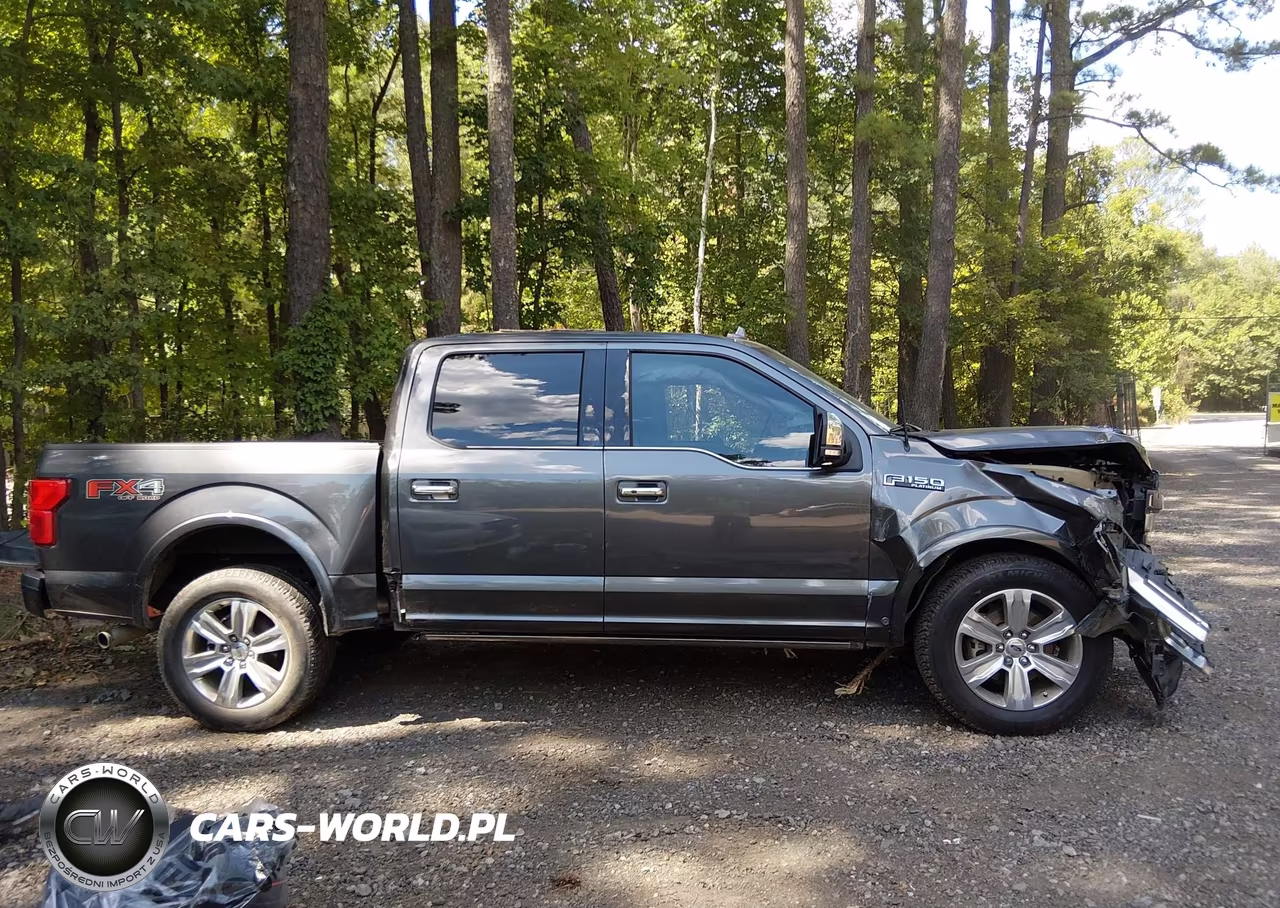 2019 Ford F-150 Platinum VIN:1FTEW1E42KFB16922 - 12
