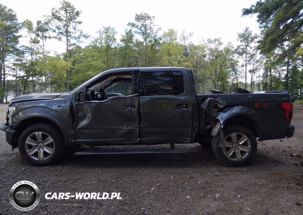 2019 Ford F-150 Platinum VIN:1FTEW1E42KFB16922 - 13