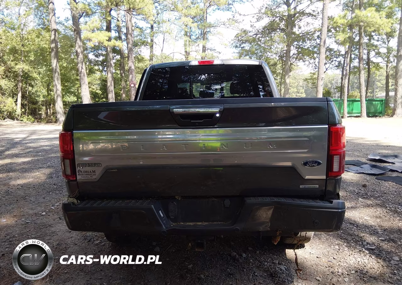 2019 Ford F-150 Platinum VIN:1FTEW1E42KFB16922 - 15