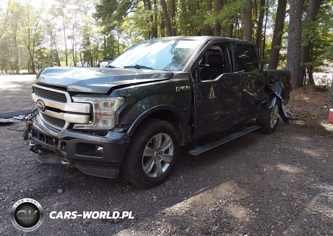 2019 Ford F-150 Platinum VIN:1FTEW1E42KFB16922 - 2