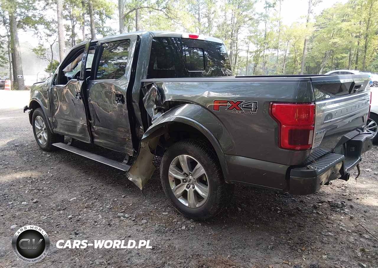 2019 Ford F-150 Platinum VIN:1FTEW1E42KFB16922 - 3
