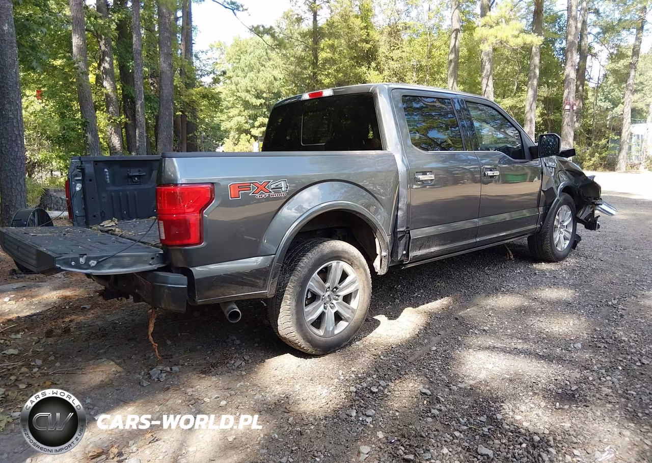 2019 Ford F-150 Platinum VIN:1FTEW1E42KFB16922 - 4