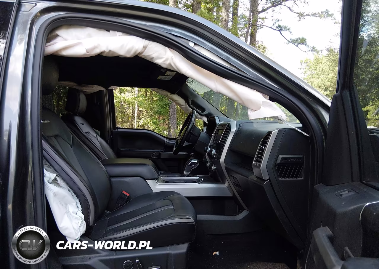 2019 Ford F-150 Platinum VIN:1FTEW1E42KFB16922 - 5