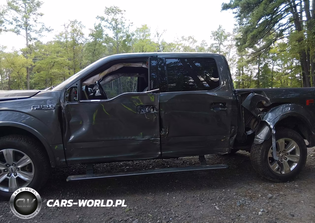 2019 Ford F-150 Platinum VIN:1FTEW1E42KFB16922 - 6