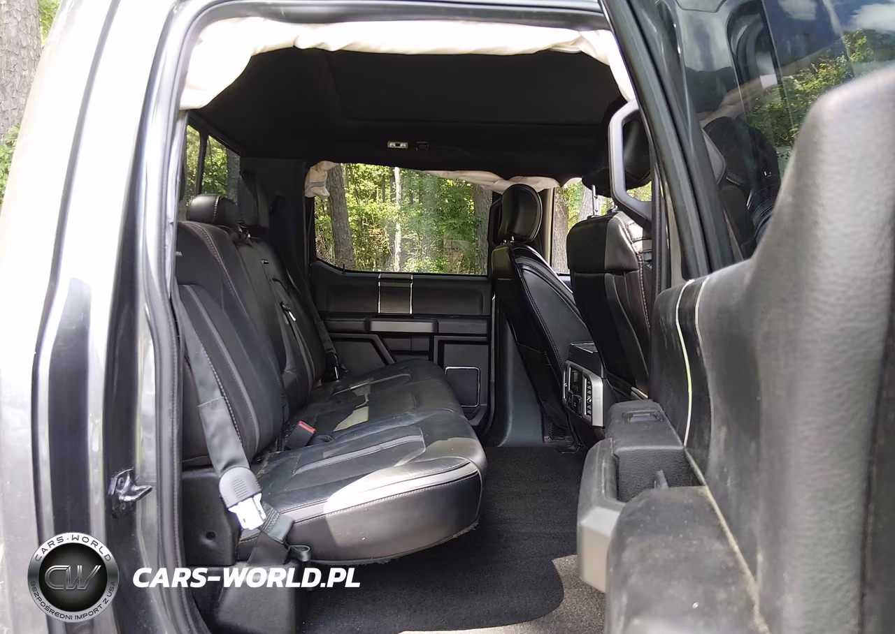 2019 Ford F-150 Platinum VIN:1FTEW1E42KFB16922 - 8