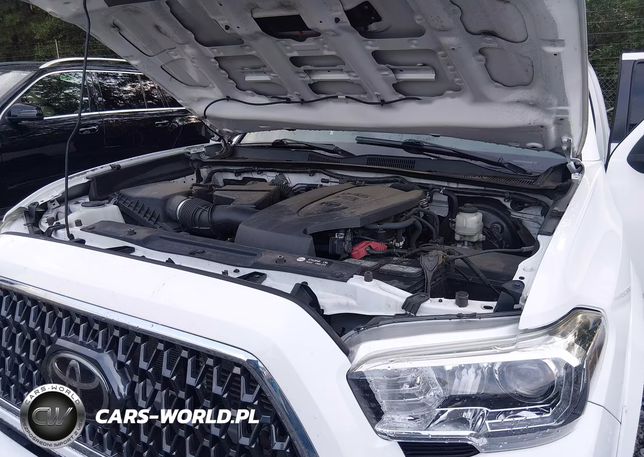 2019 Toyota Tacoma Trd Sport VIN:3TMCZ5AN0KM254754 - 10