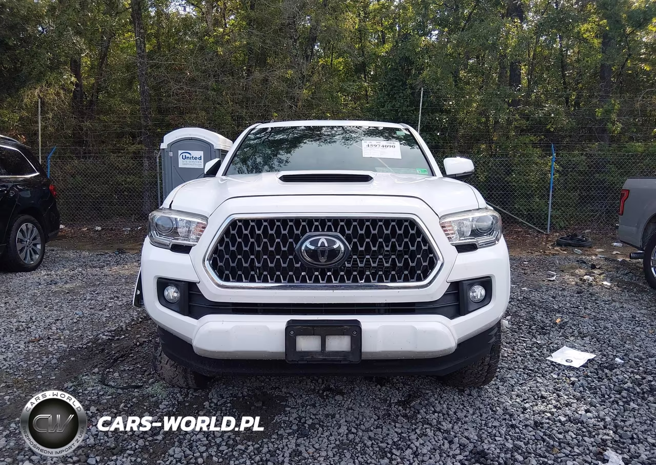 2019 Toyota Tacoma Trd Sport VIN:3TMCZ5AN0KM254754 - 12