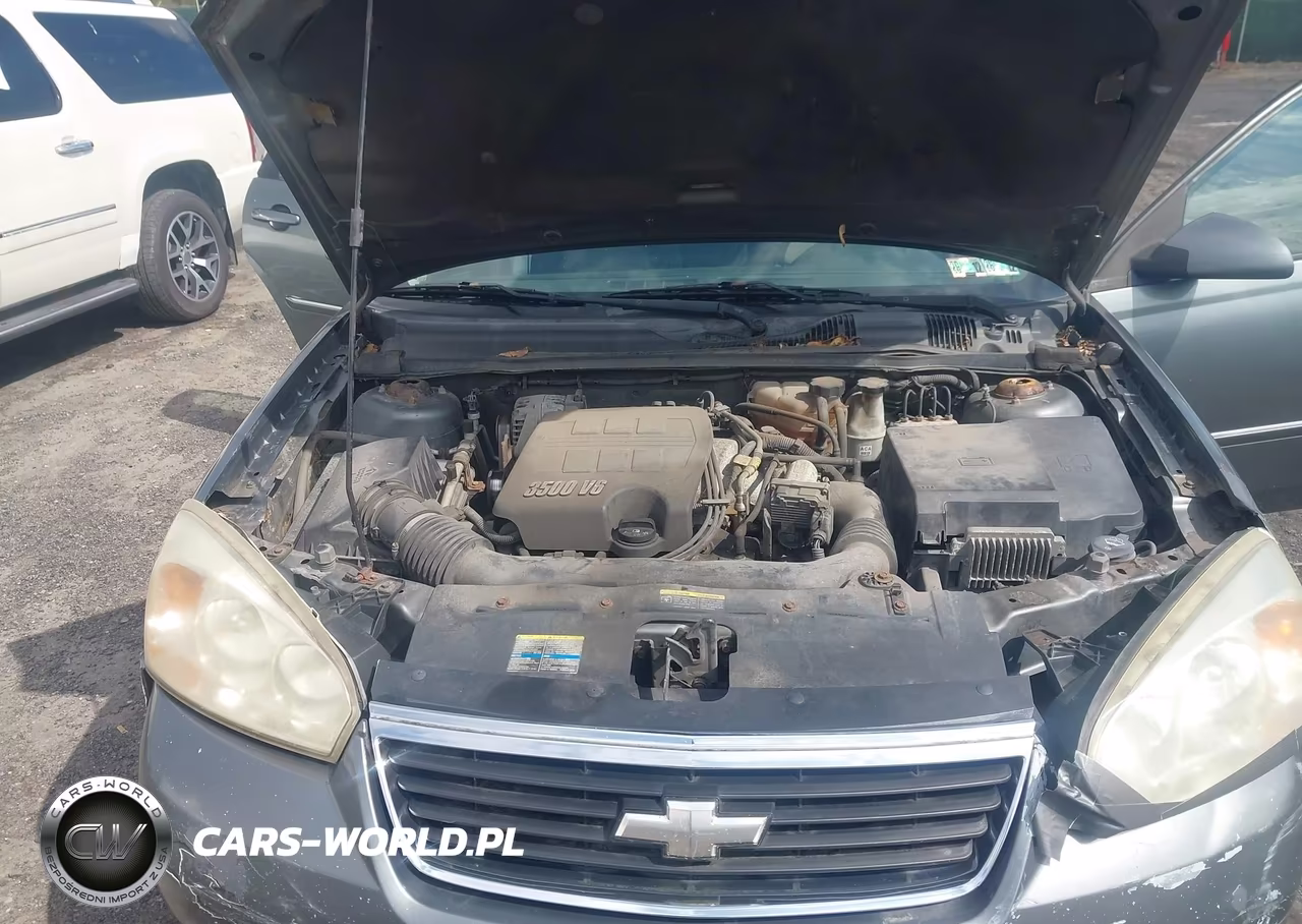 2006 Chevrolet Malibu Maxx Lt VIN:1G1ZT61806F213048 - 10