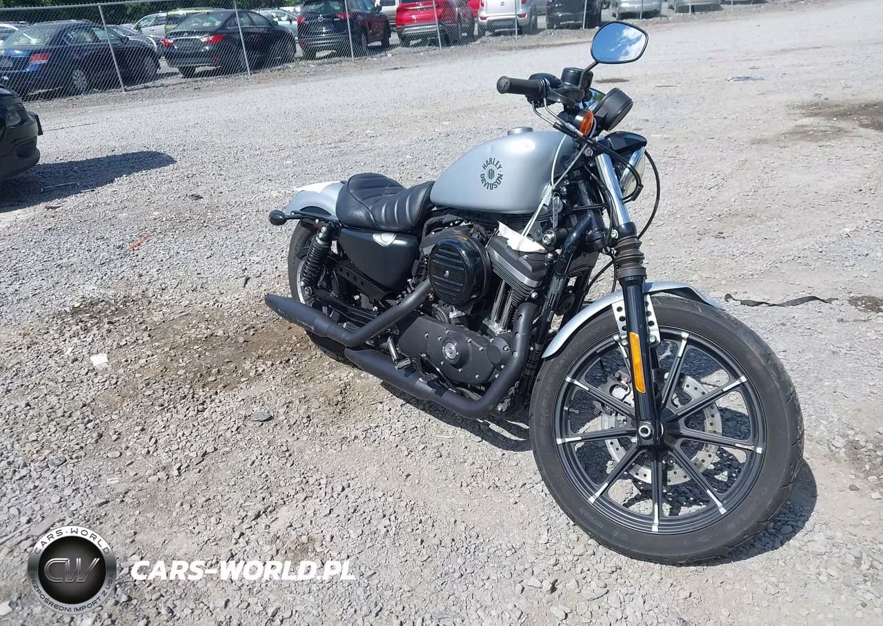 2020 Harley-Davidson Xl883 N