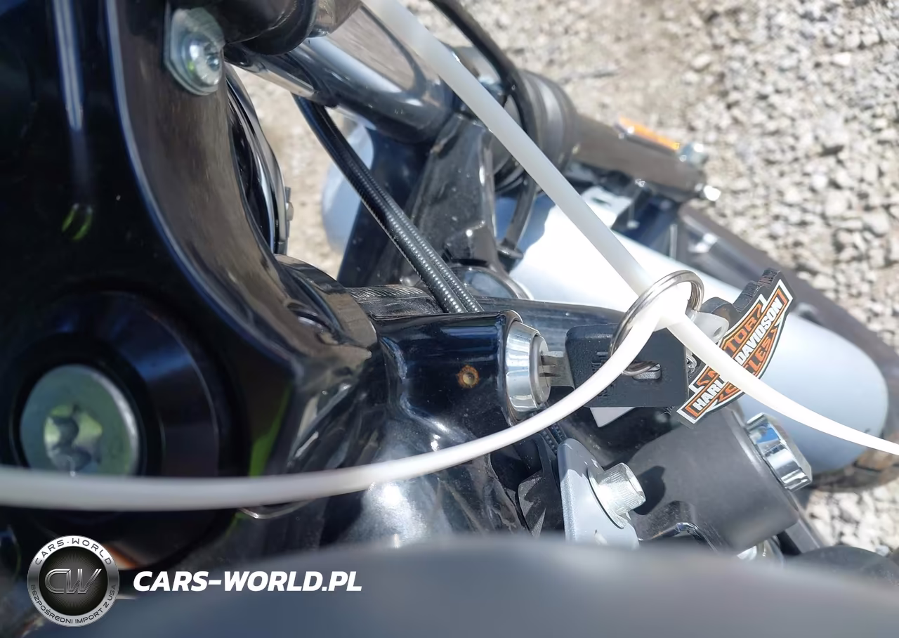 2020 Harley-Davidson Xl883 N VIN:1HD4LE219LB431133 - 11
