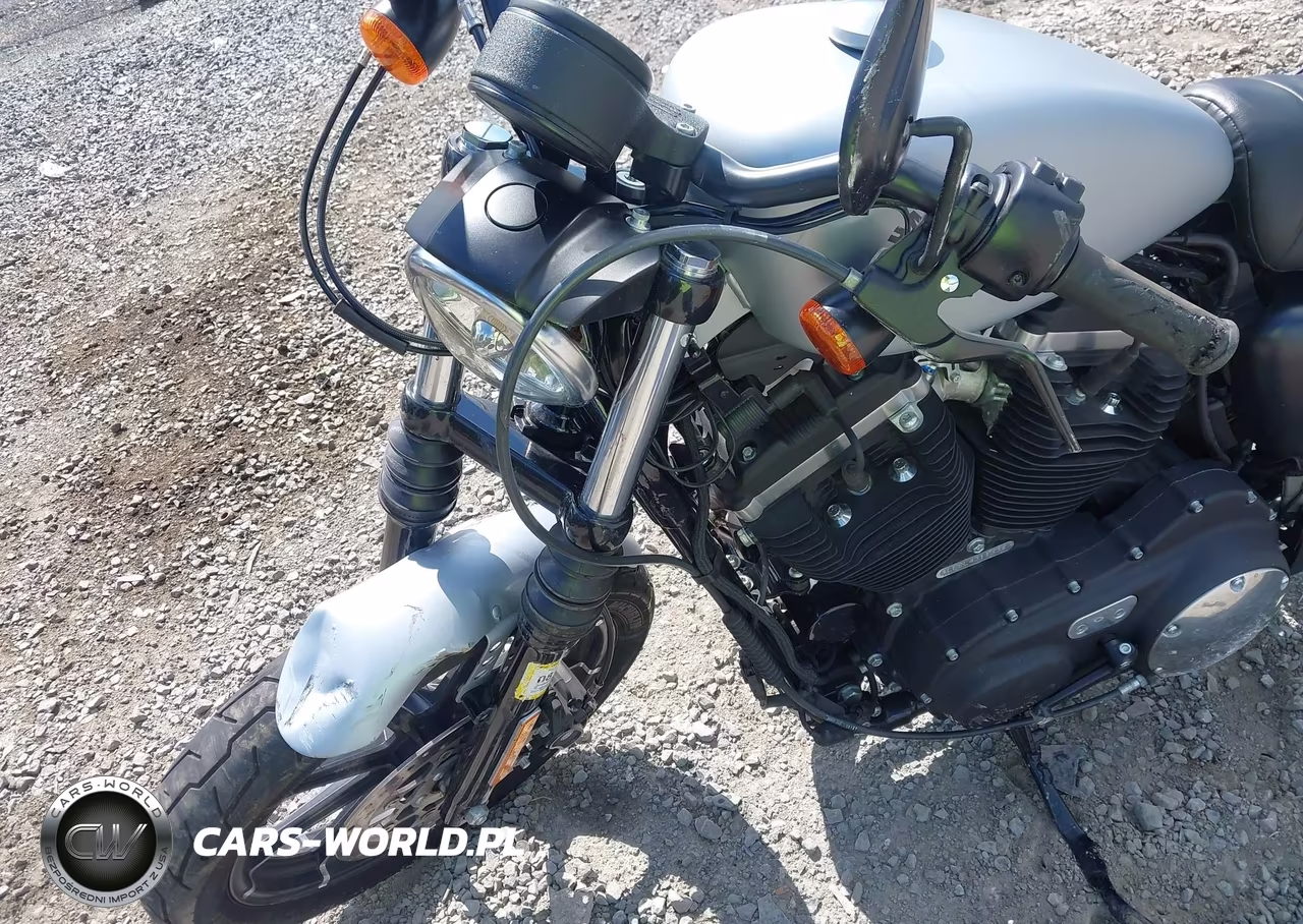 2020 Harley-Davidson Xl883 N VIN:1HD4LE219LB431133 - 14