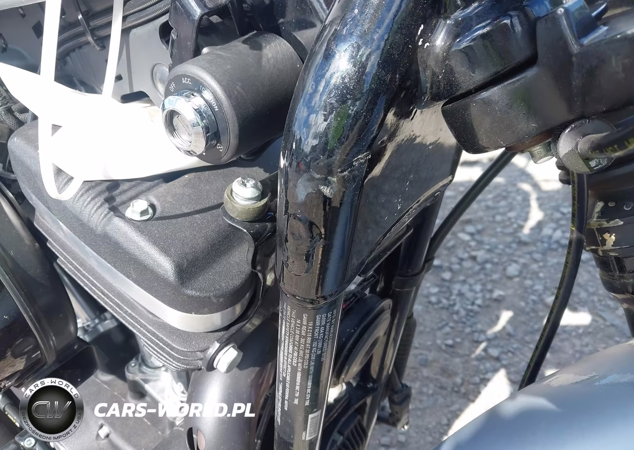 2020 Harley-Davidson Xl883 N VIN:1HD4LE219LB431133 - 15