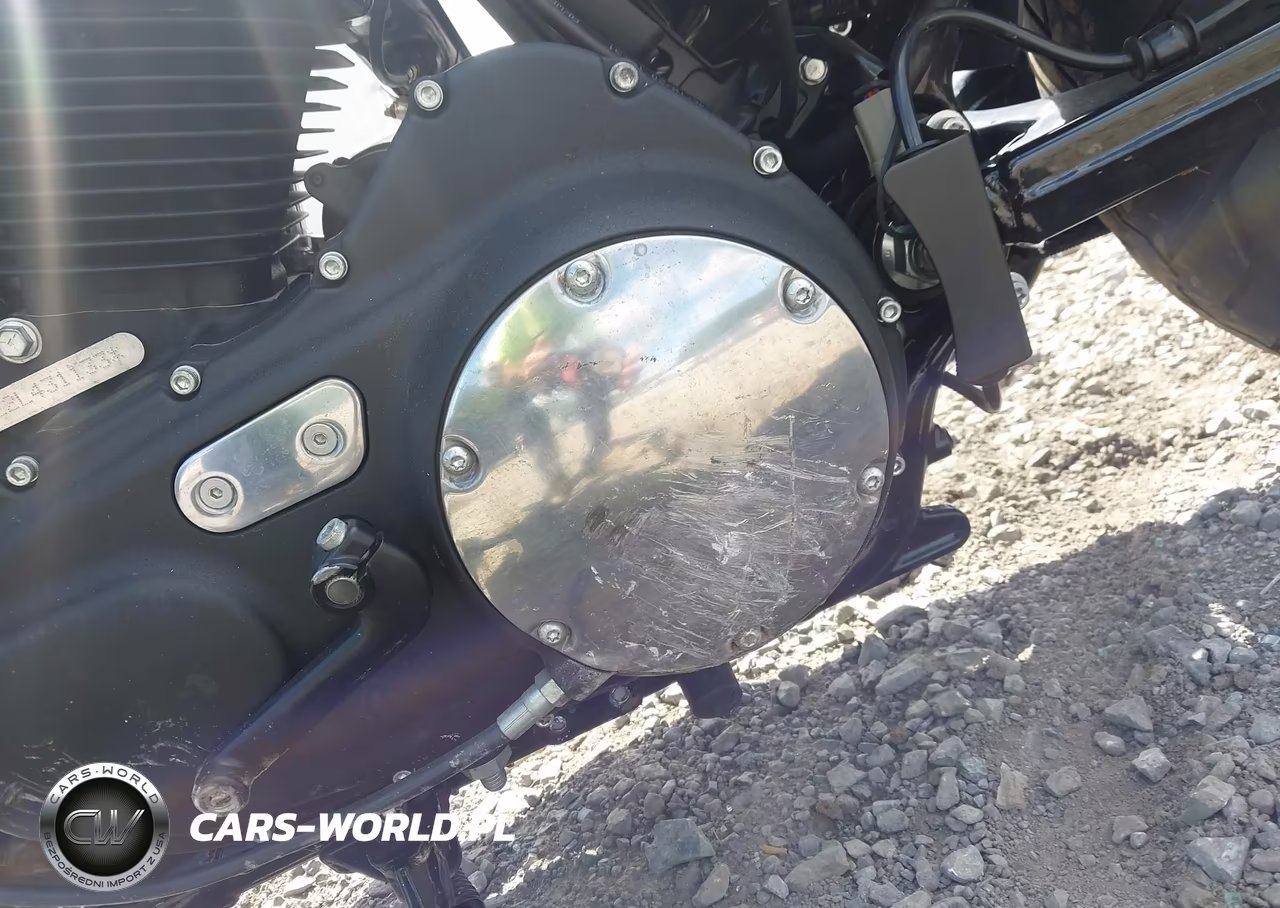 2020 Harley-Davidson Xl883 N VIN:1HD4LE219LB431133 - 16