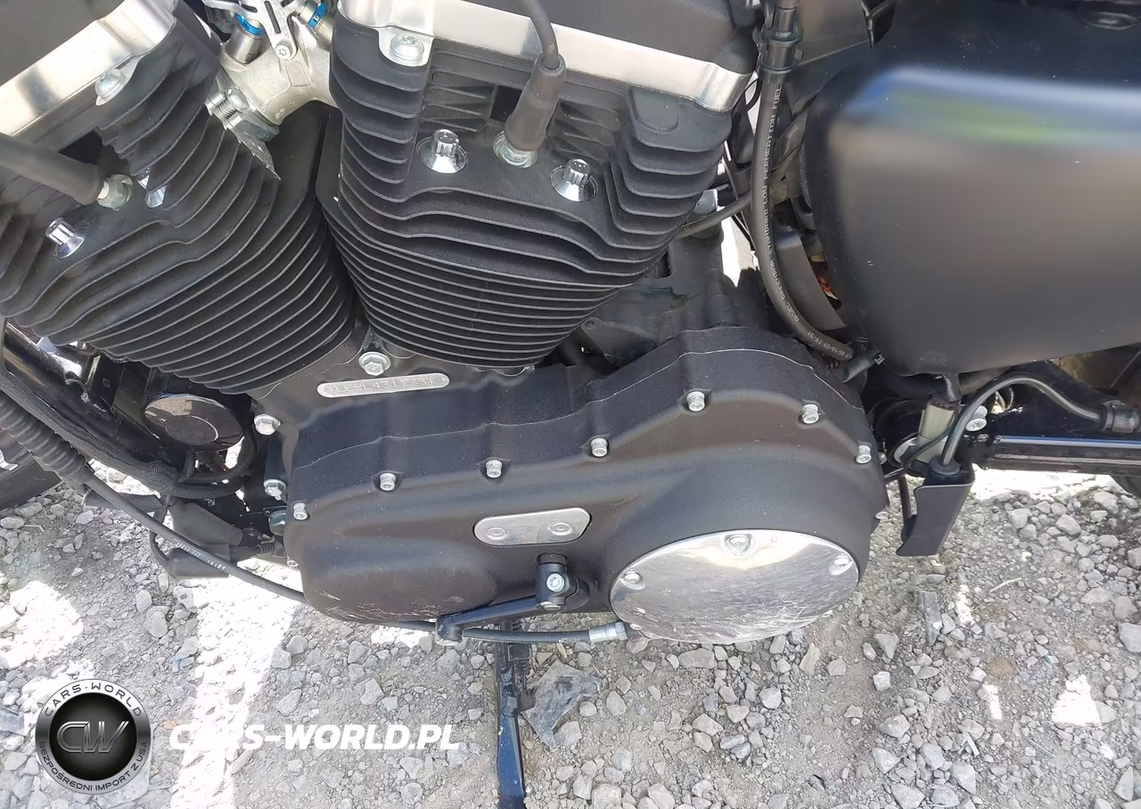 2020 Harley-Davidson Xl883 N VIN:1HD4LE219LB431133 - 9