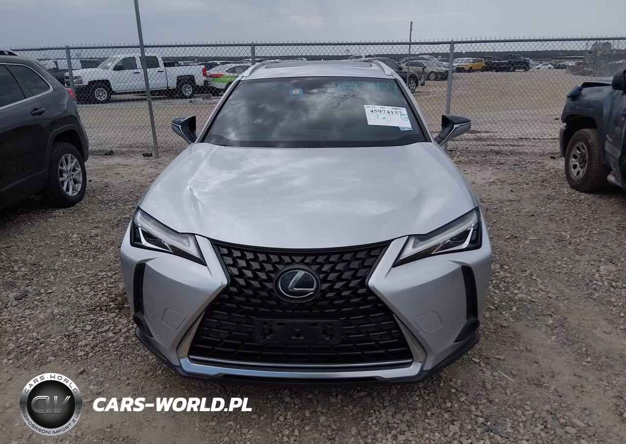 2019 Lexus Ux 200 VIN:JTHY3JBH0K2013999 - 13