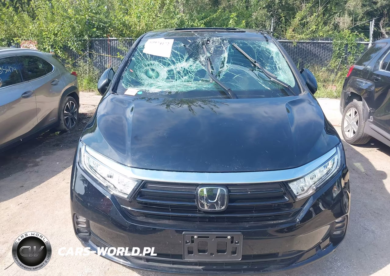 2024 Honda Odyssey Ex-L VIN:5FNRL6H69RB042479 - 12