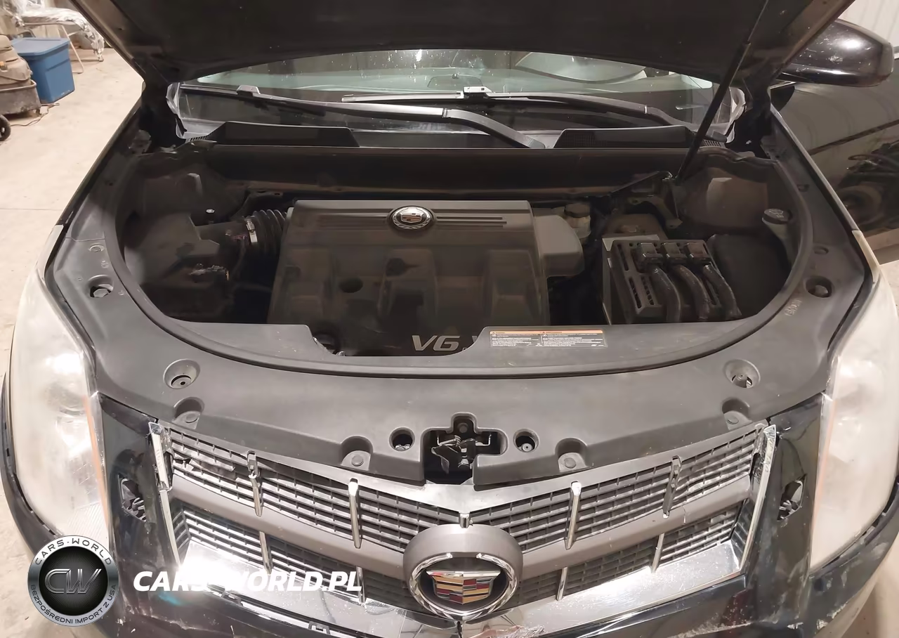 CADILLAC SRX VIN:3GYFNEEY9BS675746 - 10