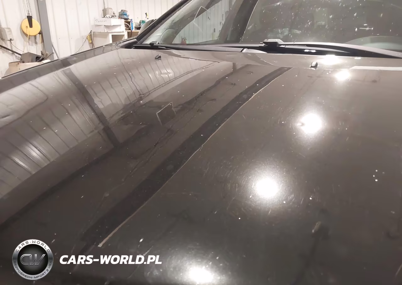 CADILLAC SRX VIN:3GYFNEEY9BS675746 - 17