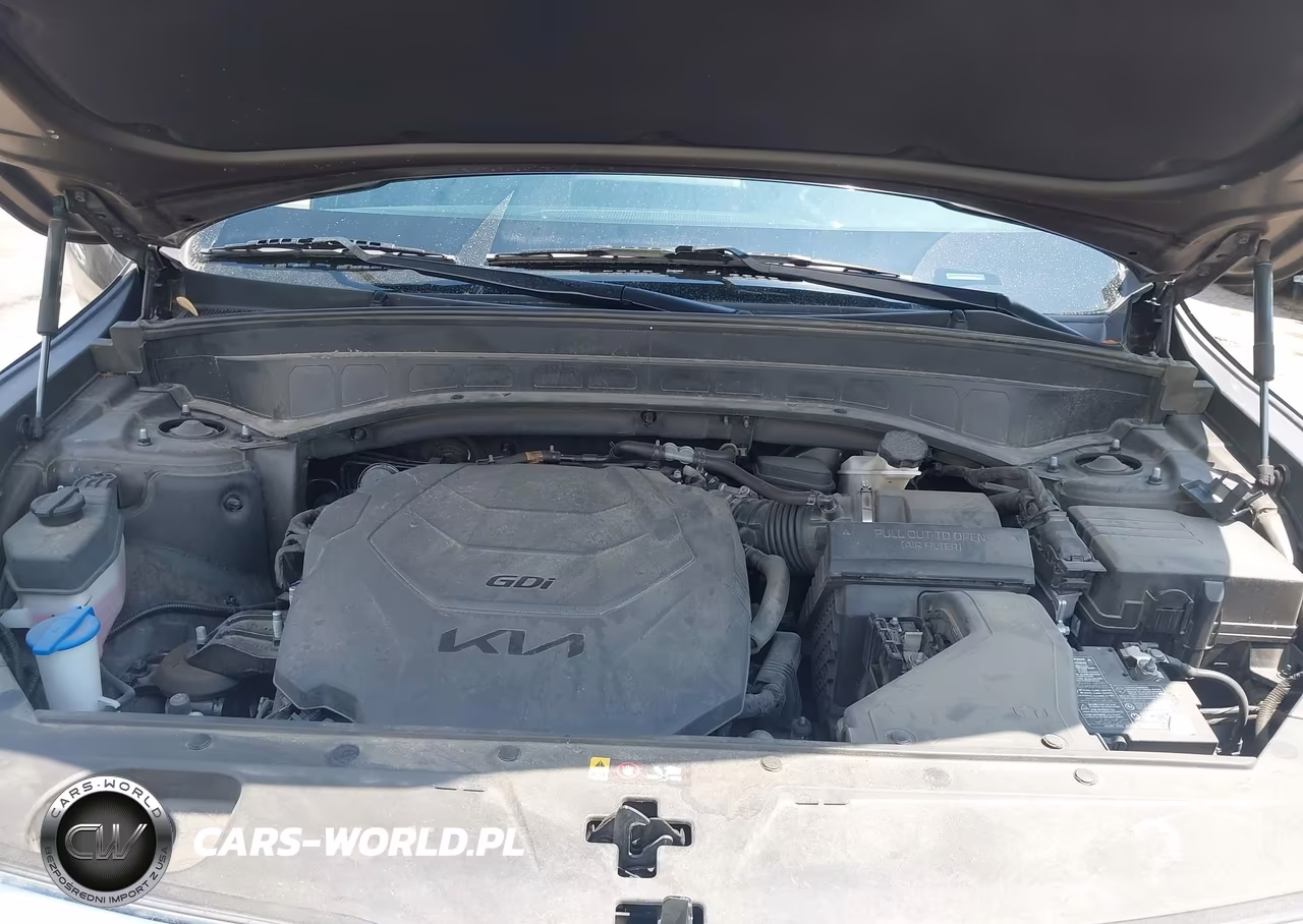 2022 Kia Telluride S VIN:5XYP6DHC8NG242362 - 10