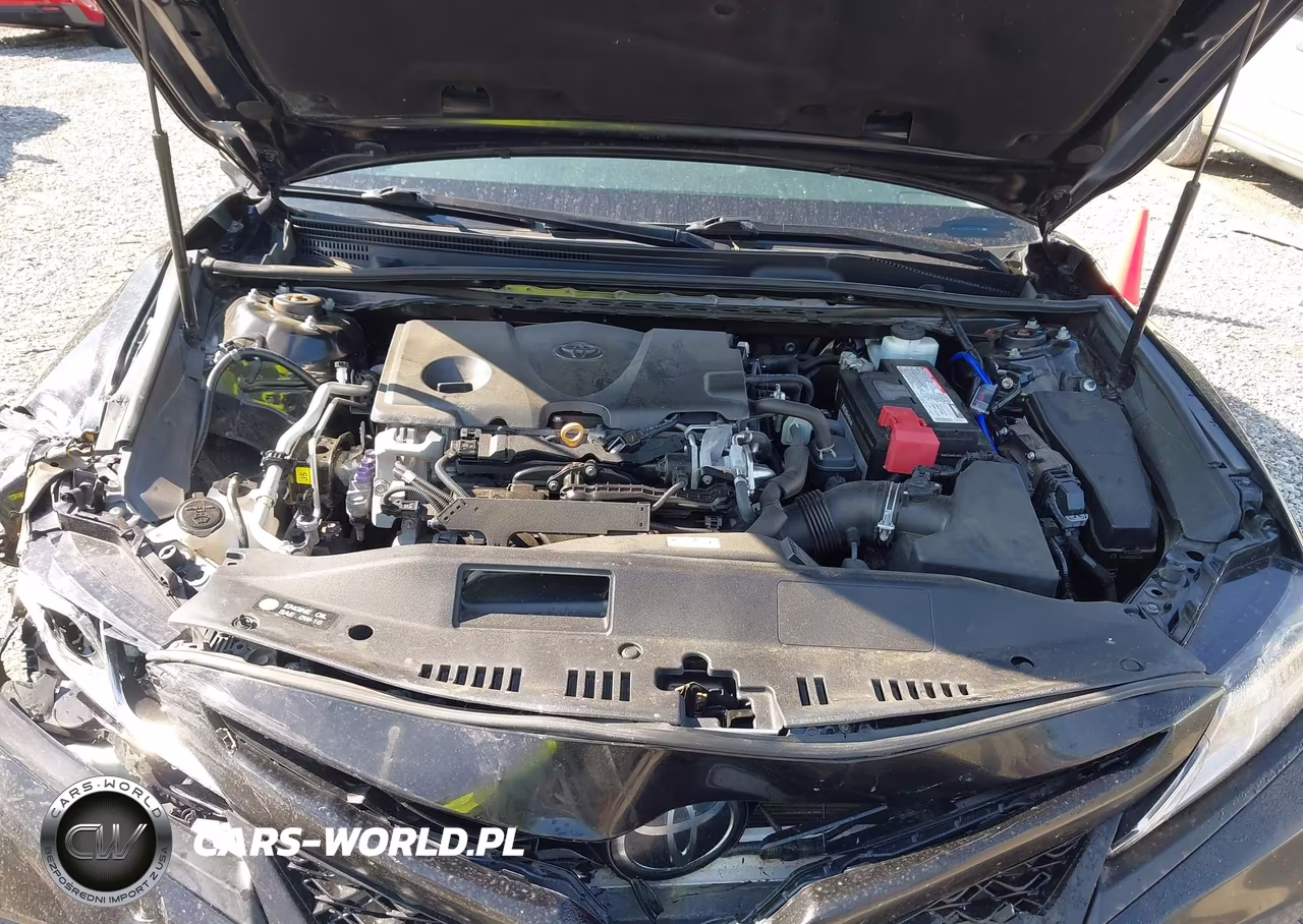 2019 Toyota Camry Se VIN:4T1B11HK4KU842039 - 10