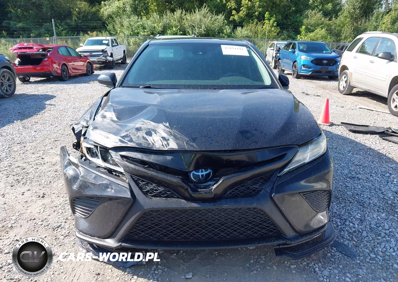 2019 Toyota Camry Se VIN:4T1B11HK4KU842039 - 12