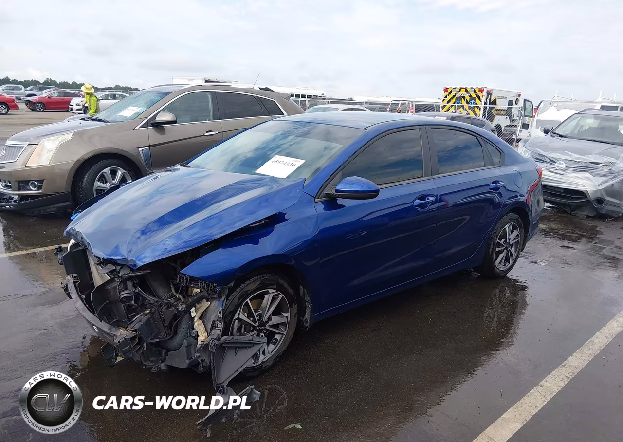 2022 Kia Forte Lxs VIN:3KPF24AD4NE420548 - 2