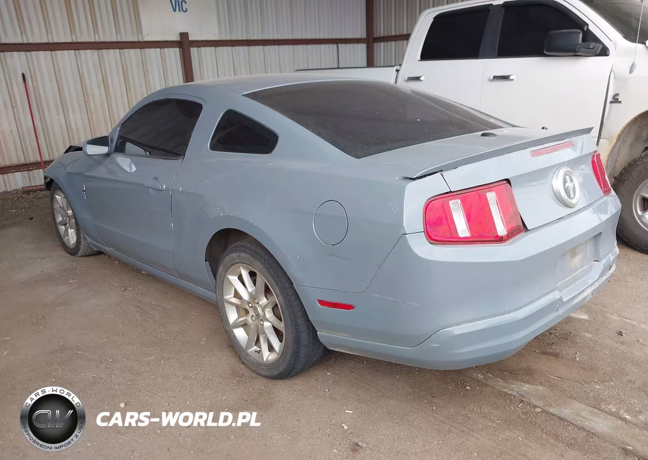 2010 Ford Mustang V6-V6 Premium VIN:1ZVBP8ANXA5136313 - 3