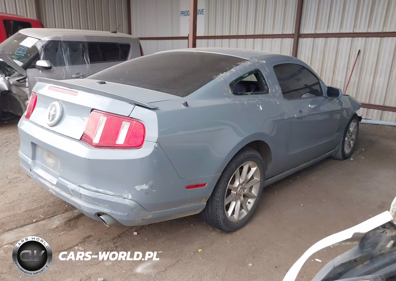 2010 Ford Mustang V6-V6 Premium VIN:1ZVBP8ANXA5136313 - 4