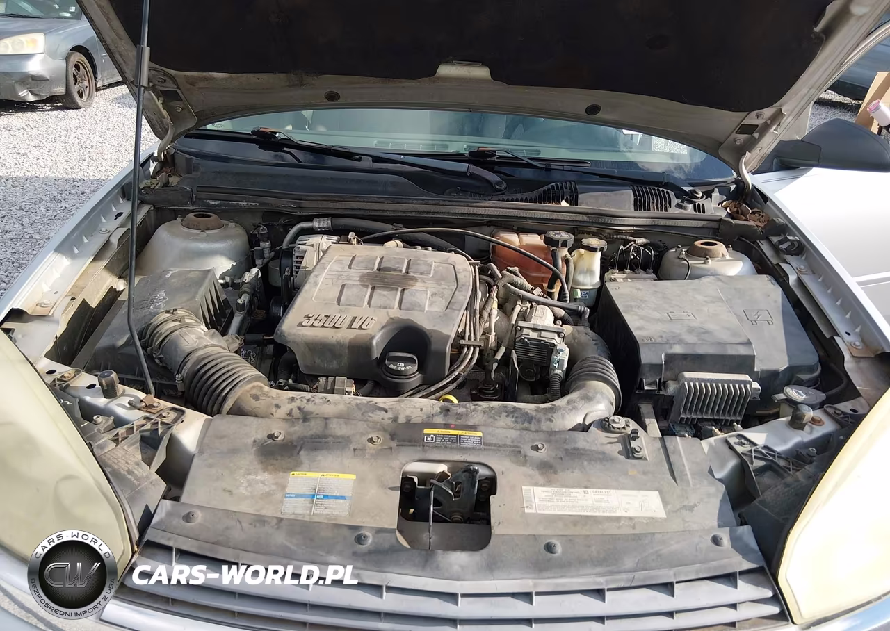 2005 Chevrolet Malibu Ls VIN:1G1ZT54895F231911 - 10