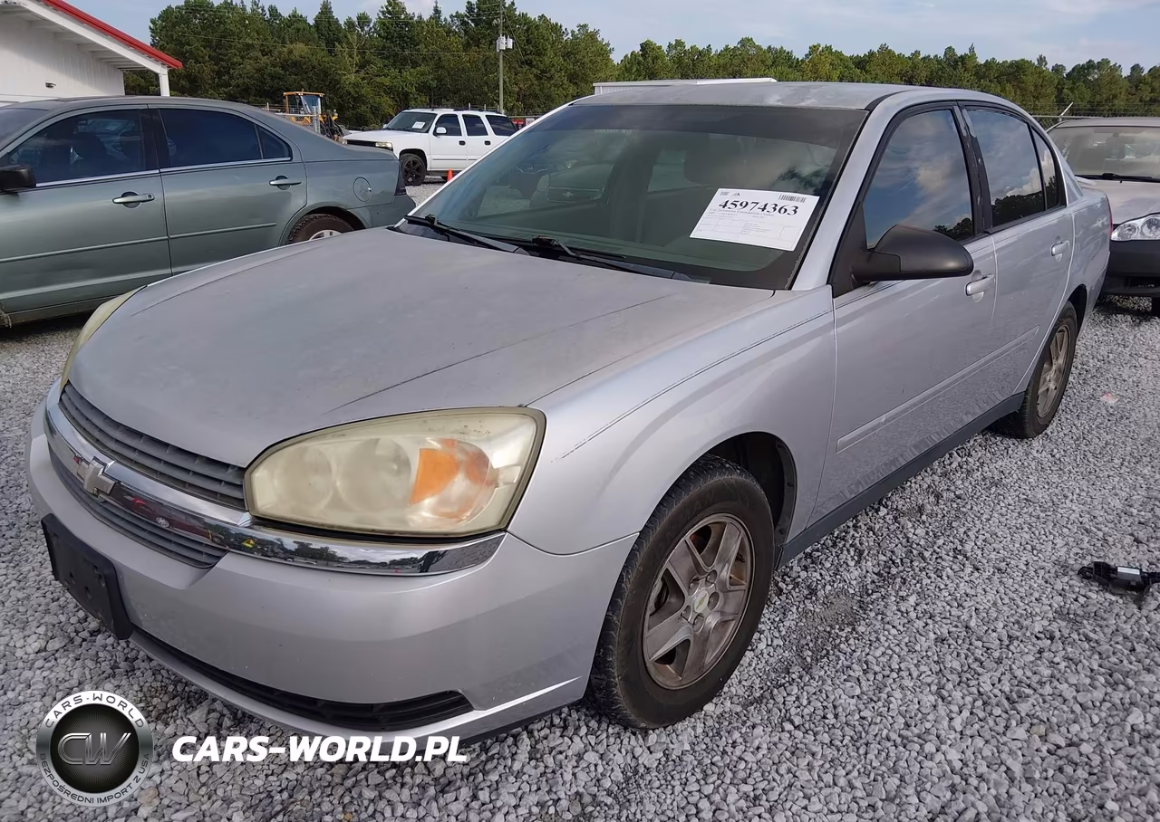 2005 Chevrolet Malibu Ls VIN:1G1ZT54895F231911 - 2