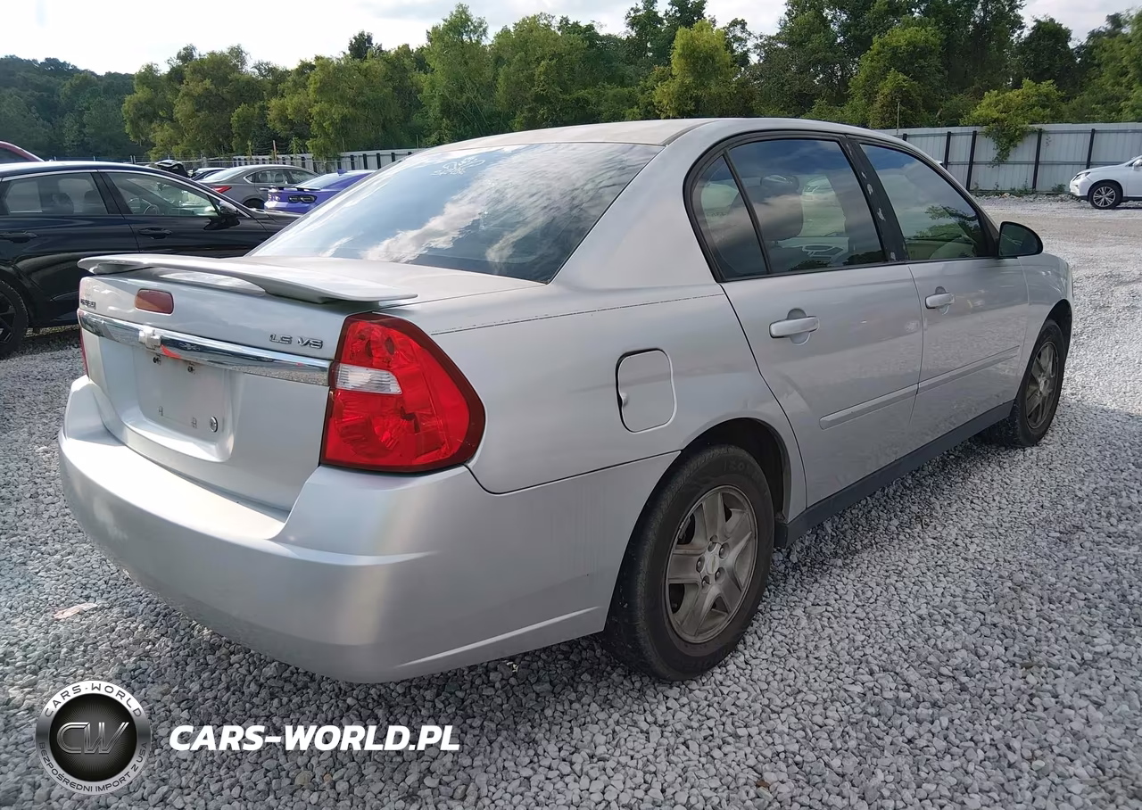 2005 Chevrolet Malibu Ls VIN:1G1ZT54895F231911 - 4