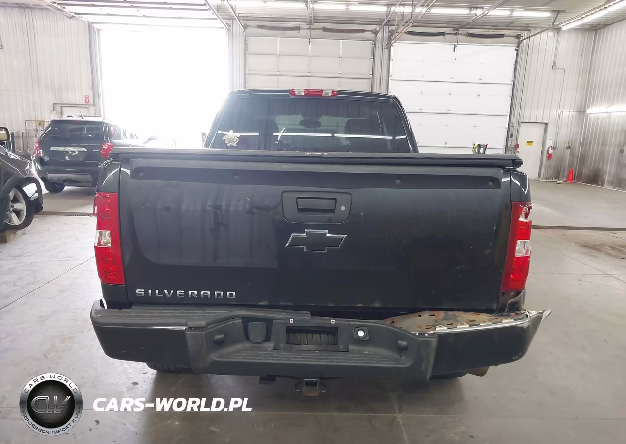 2009 Chevrolet Silverado 1500 Lt VIN:1GCEK29029Z170769 - 16