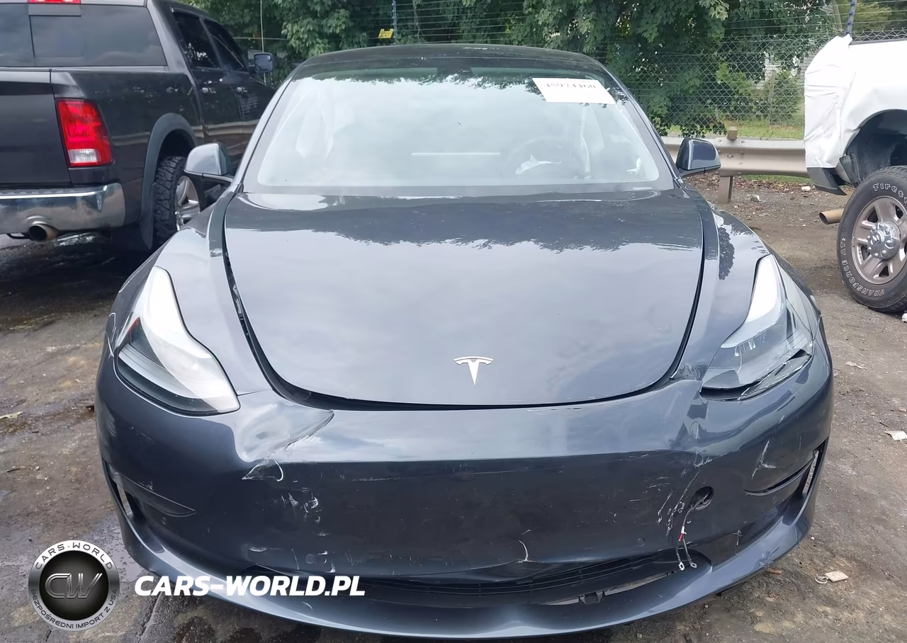2022 Tesla Model 3 Rear-Wheel Drive VIN:5YJ3E1EA9NF374895 - 12