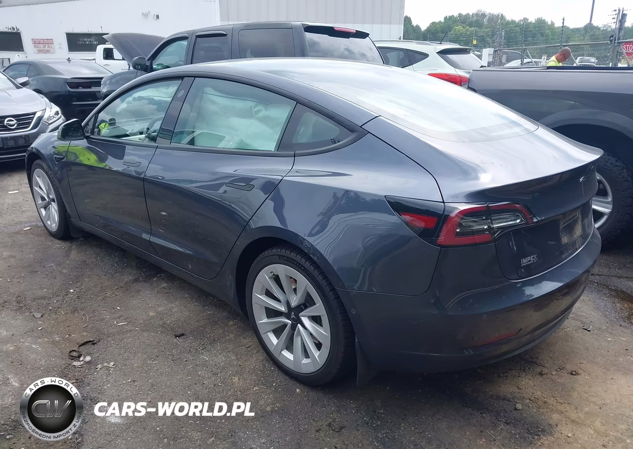 2022 Tesla Model 3 Rear-Wheel Drive VIN:5YJ3E1EA9NF374895 - 3