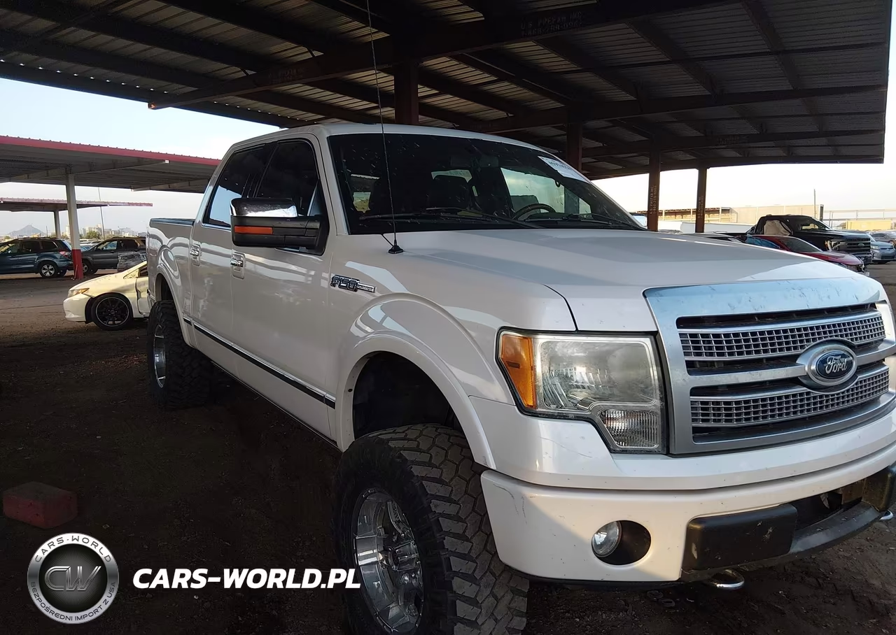 2010 Ford F-150 Fx4-Harley-Davidson-King Ranch-Lariat-Platinum-Xl-Xlt VIN:1FTFW1EV2AFD89225 - 1