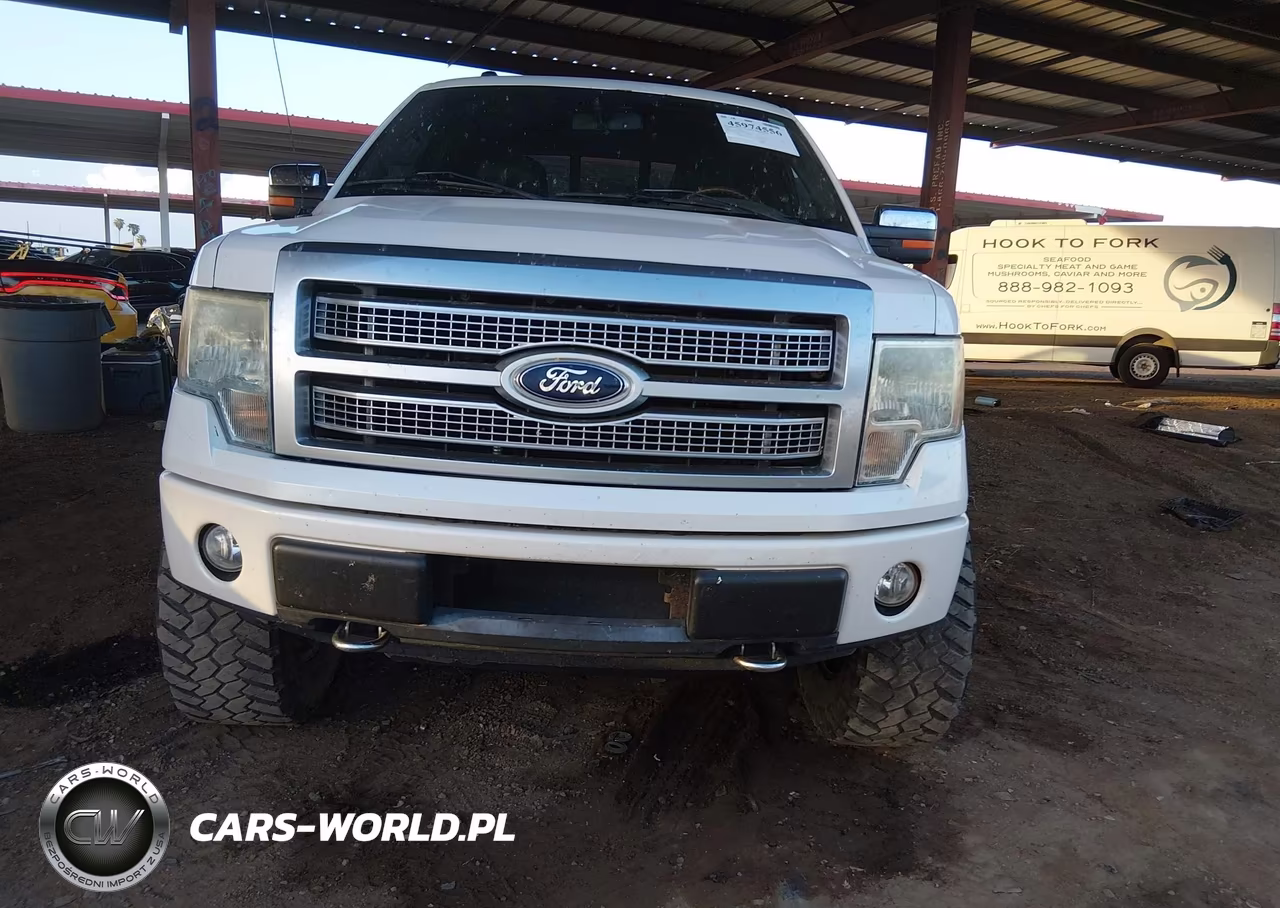 2010 Ford F-150 Fx4-Harley-Davidson-King Ranch-Lariat-Platinum-Xl-Xlt VIN:1FTFW1EV2AFD89225 - 12