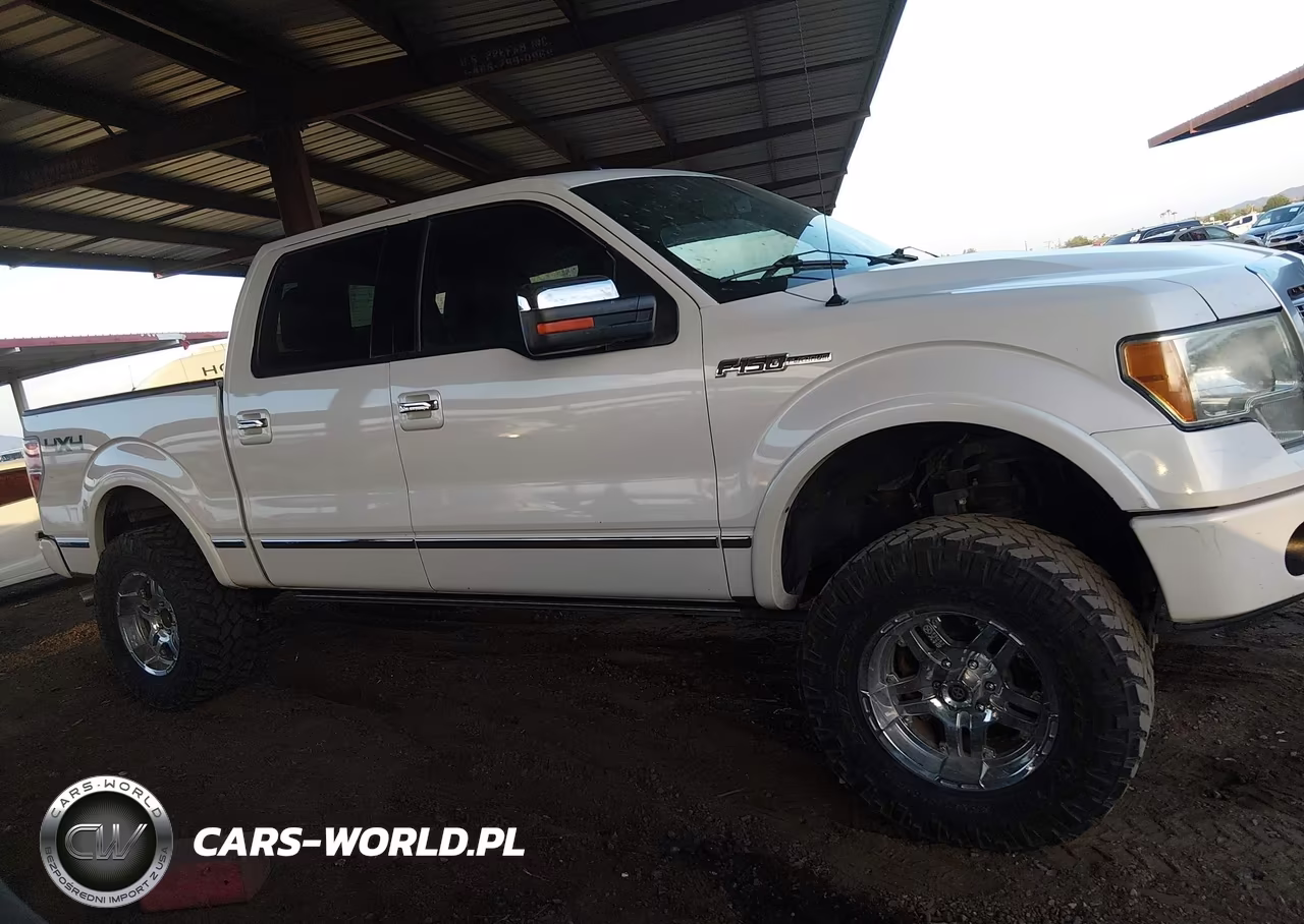 2010 Ford F-150 Fx4-Harley-Davidson-King Ranch-Lariat-Platinum-Xl-Xlt VIN:1FTFW1EV2AFD89225 - 13