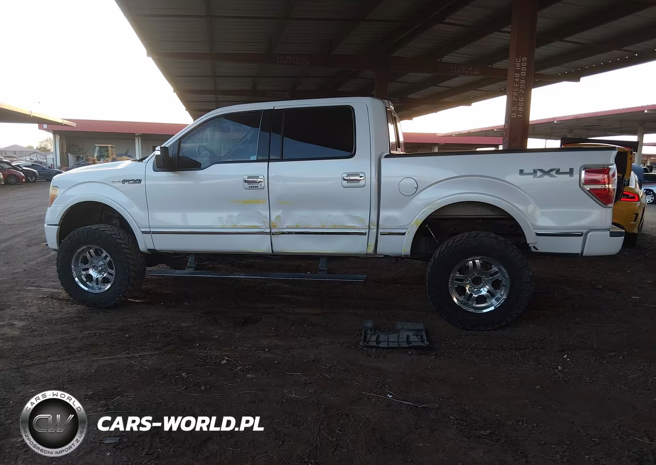 2010 Ford F-150 Fx4-Harley-Davidson-King Ranch-Lariat-Platinum-Xl-Xlt VIN:1FTFW1EV2AFD89225 - 14