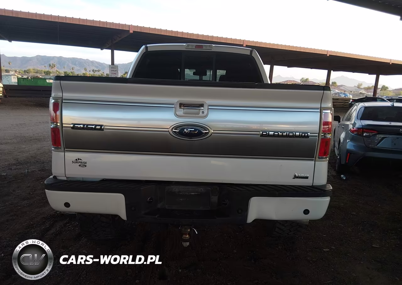 2010 Ford F-150 Fx4-Harley-Davidson-King Ranch-Lariat-Platinum-Xl-Xlt VIN:1FTFW1EV2AFD89225 - 16