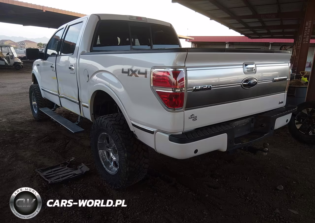 2010 Ford F-150 Fx4-Harley-Davidson-King Ranch-Lariat-Platinum-Xl-Xlt VIN:1FTFW1EV2AFD89225 - 3