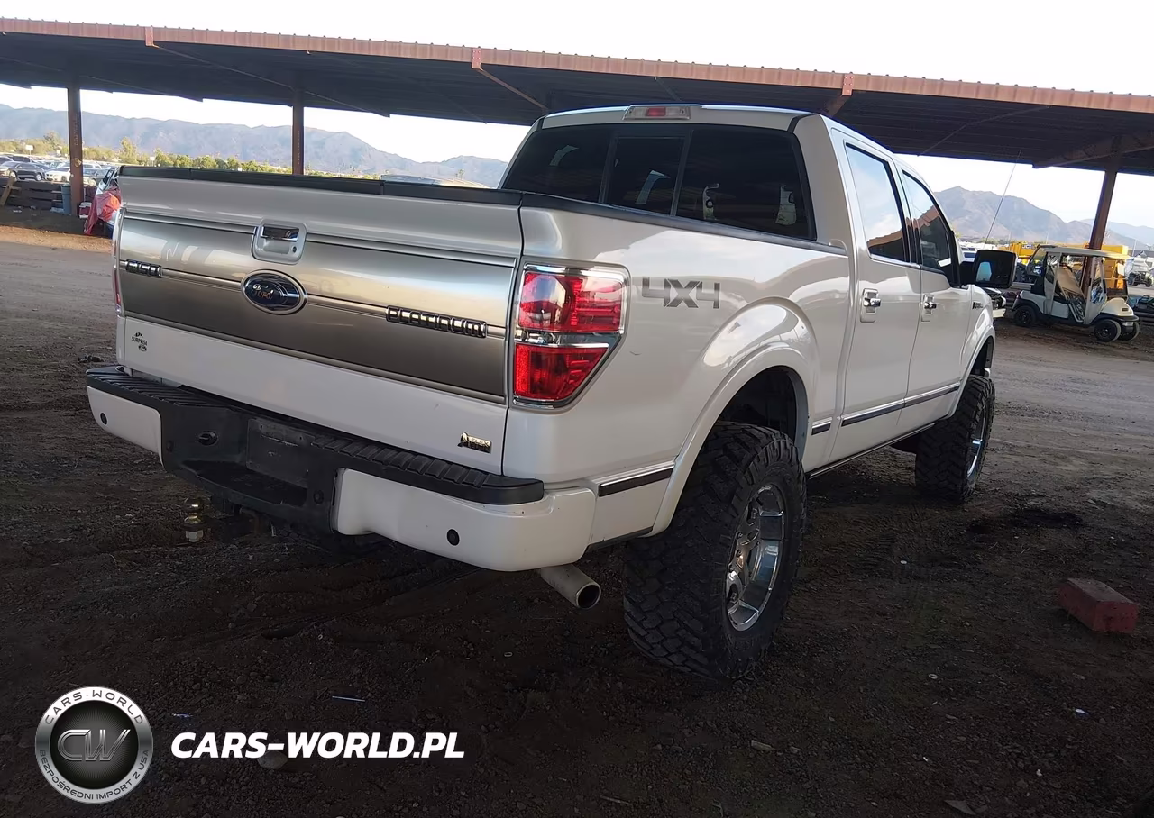 2010 Ford F-150 Fx4-Harley-Davidson-King Ranch-Lariat-Platinum-Xl-Xlt VIN:1FTFW1EV2AFD89225 - 4