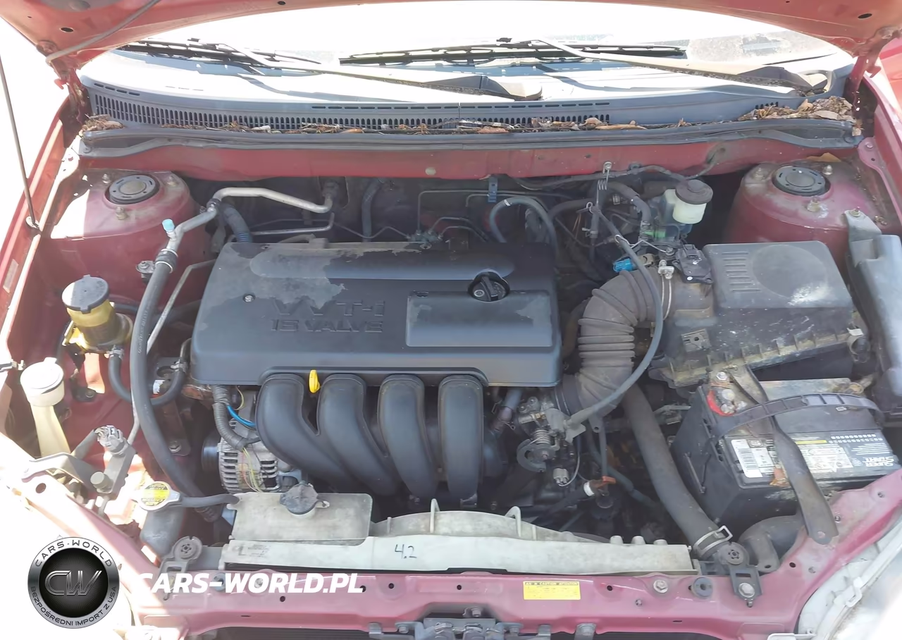 2003 Toyota Corolla Ce VIN:JTDBR32E230034213 - 10