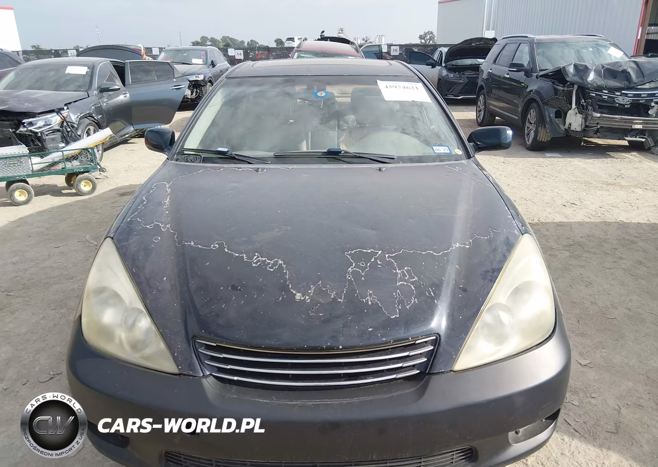 2002 Lexus Es 300 VIN:JTHBF30GX20056275 - 12