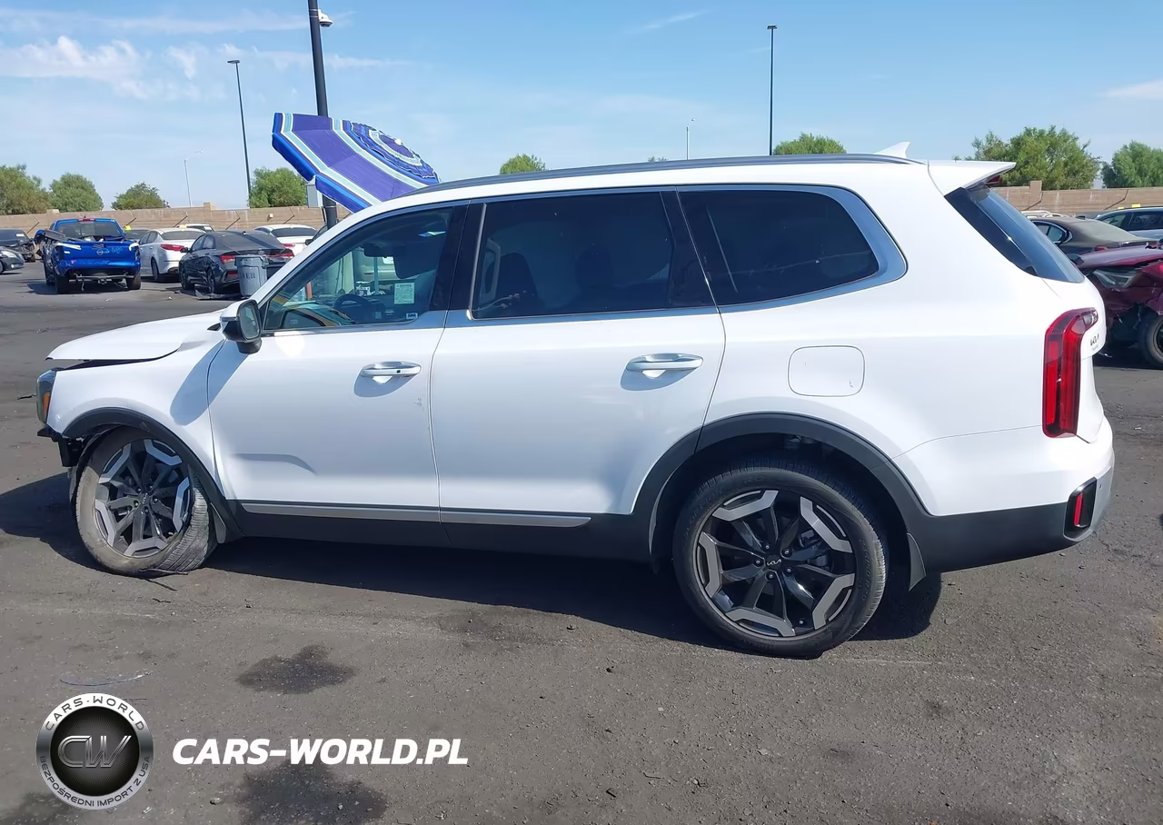 2024 Kia Telluride S VIN:5XYP6DGC5RG518732 - 15