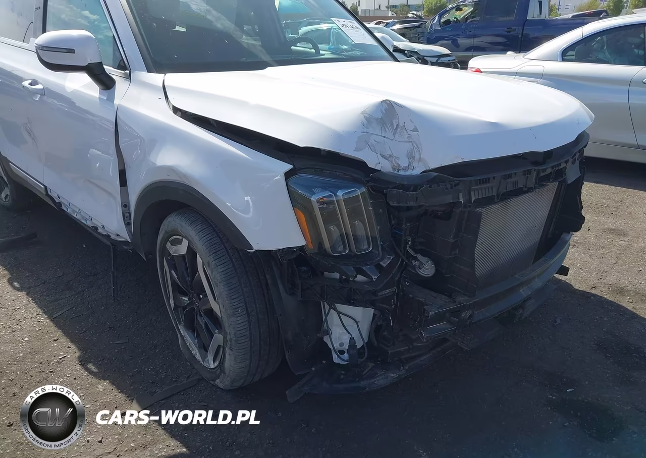 2024 Kia Telluride S VIN:5XYP6DGC5RG518732 - 6