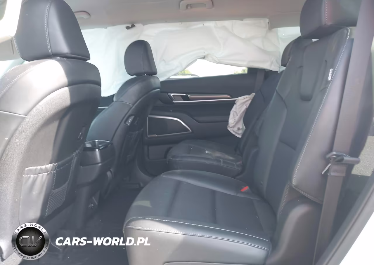 2024 Kia Telluride S VIN:5XYP6DGC5RG518732 - 8