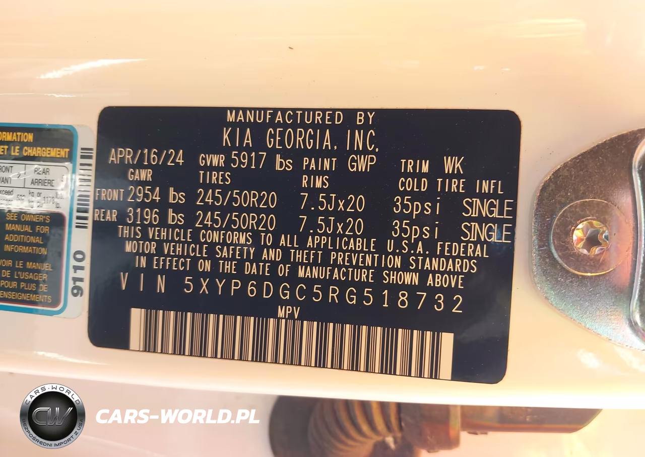 2024 Kia Telluride S VIN:5XYP6DGC5RG518732 - 9