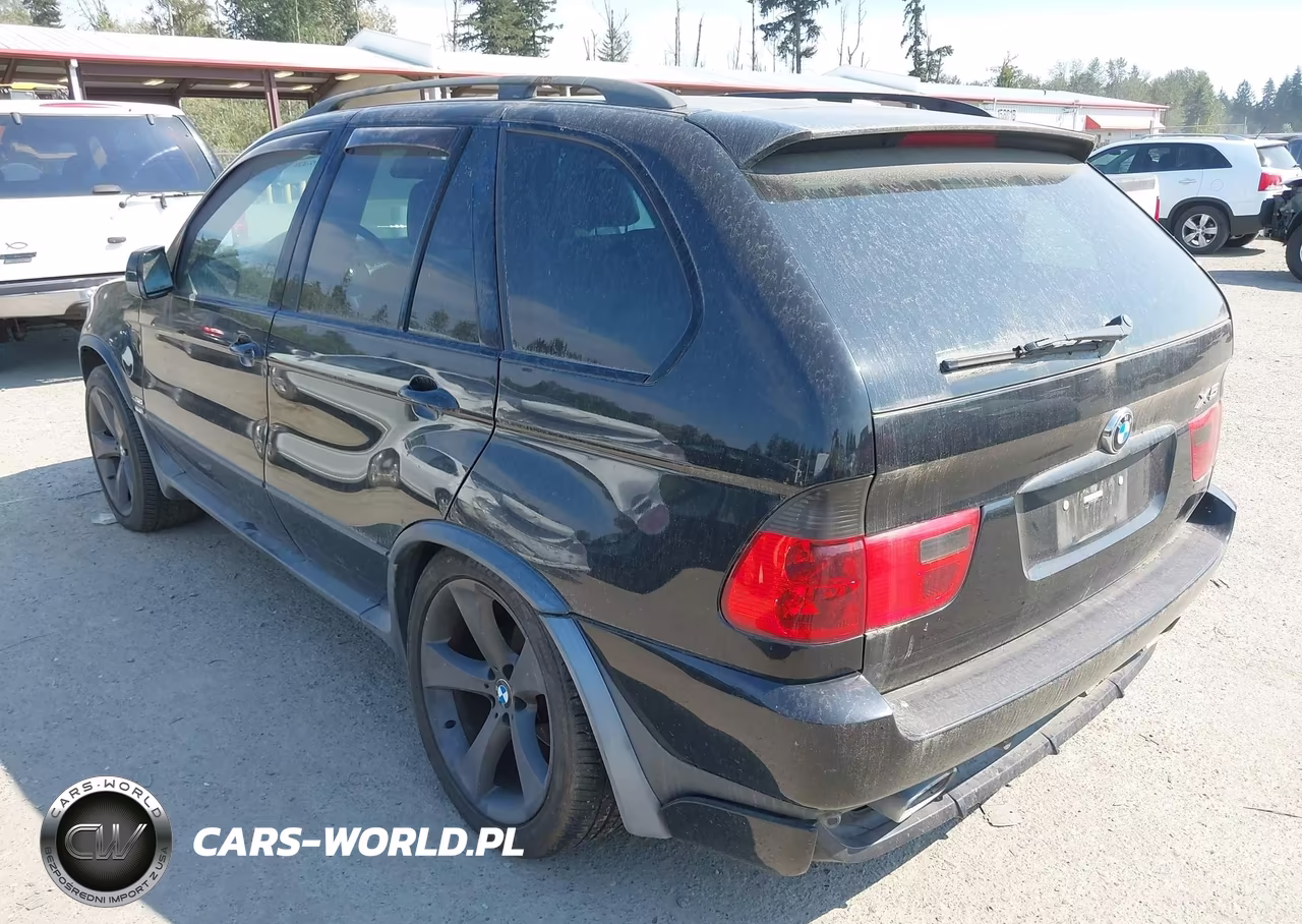 2002 BMW X5 4.6Is VIN:5UXFB93542LN78621 - 3